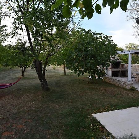 Holiday Home Brhanici Svetvinčenat エクステリア 写真